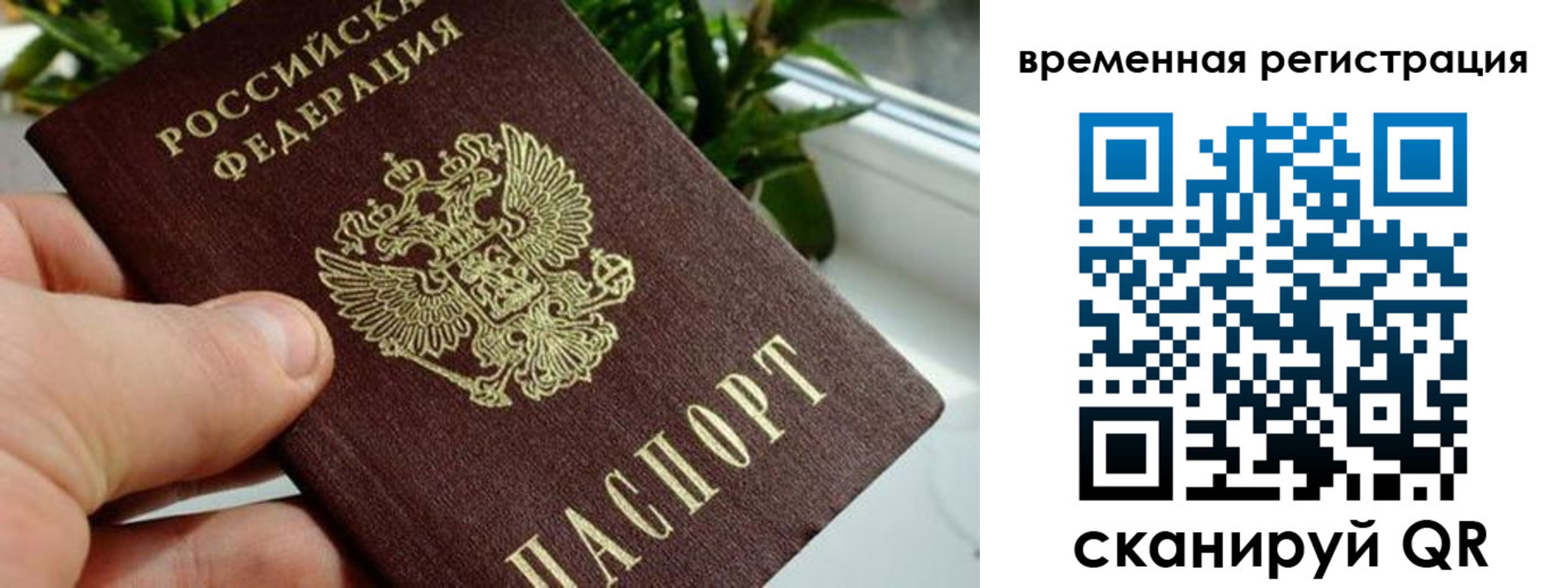 прописка поиск в Омской области